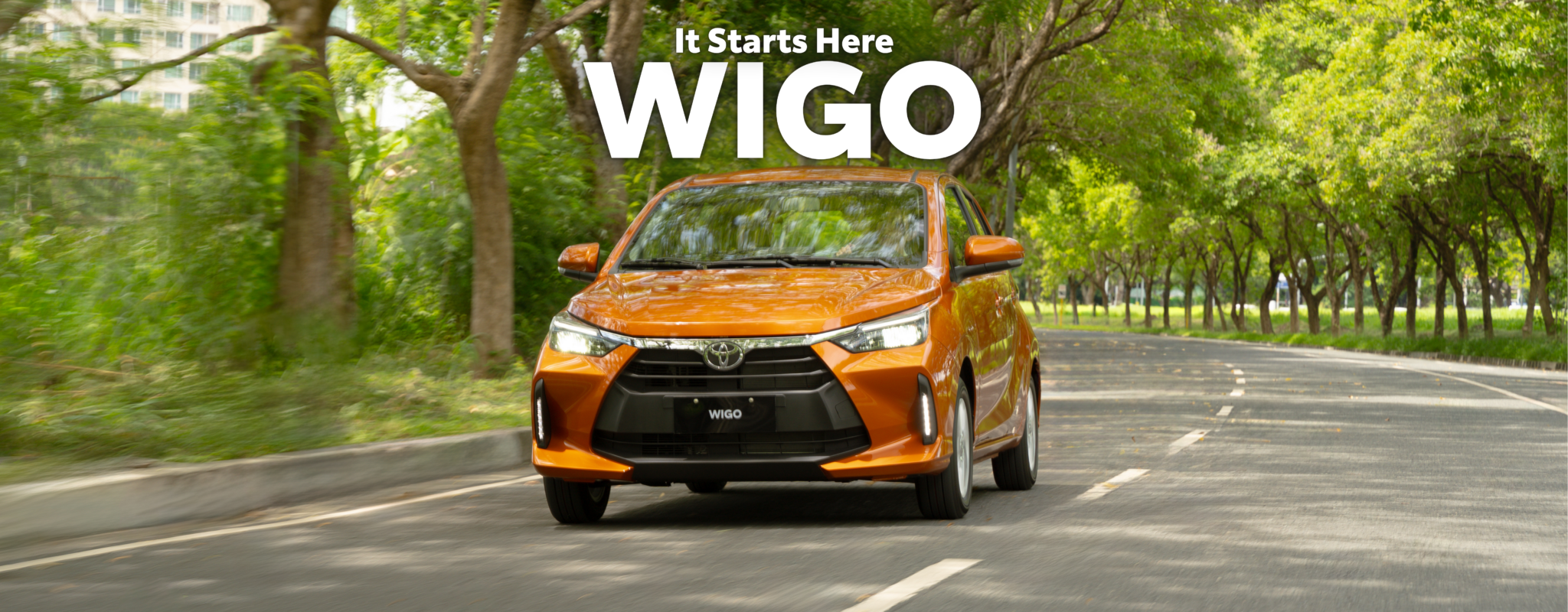 Wigo | It Starts Here